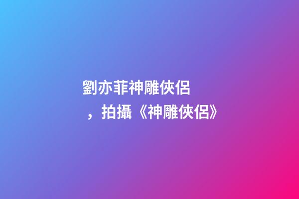 劉亦菲神雕俠侶，拍攝《神雕俠侶》-第1張-觀點(diǎn)-玄機(jī)派